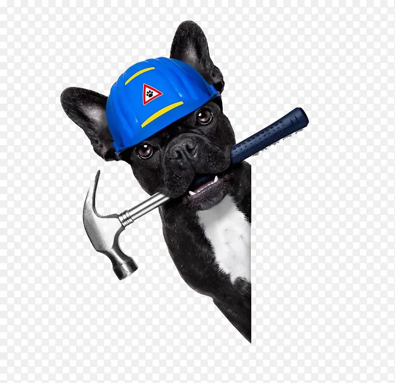 ������װ��-������