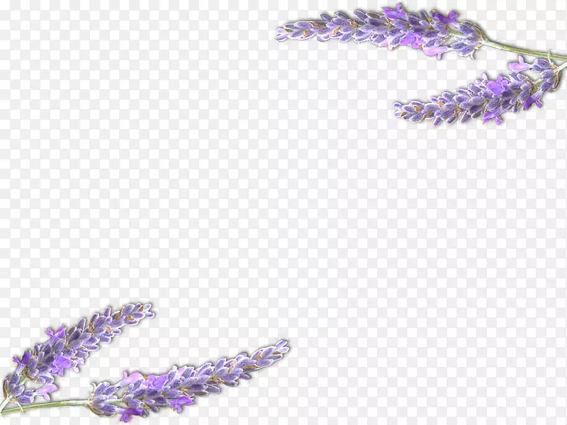 Ӣ��޹�²�������˹��ɫ��ˮ޹�²���-޹�²�-������