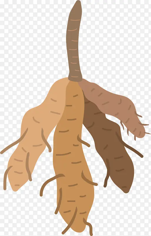 ɽҩ��ʻ�-������