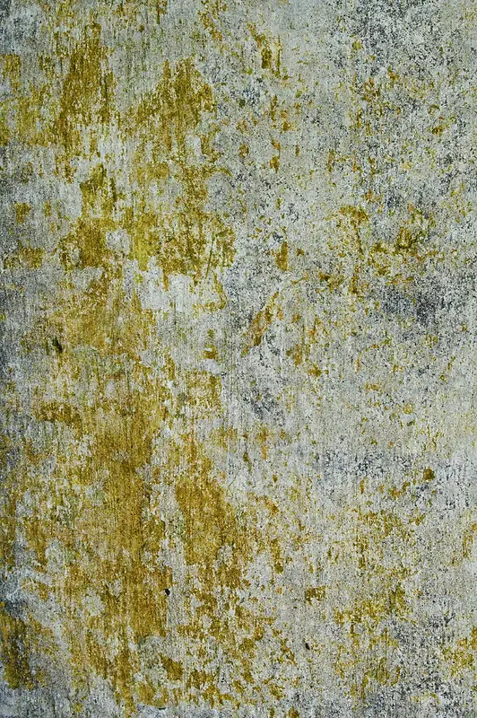 ���Ƶı��汳��-������