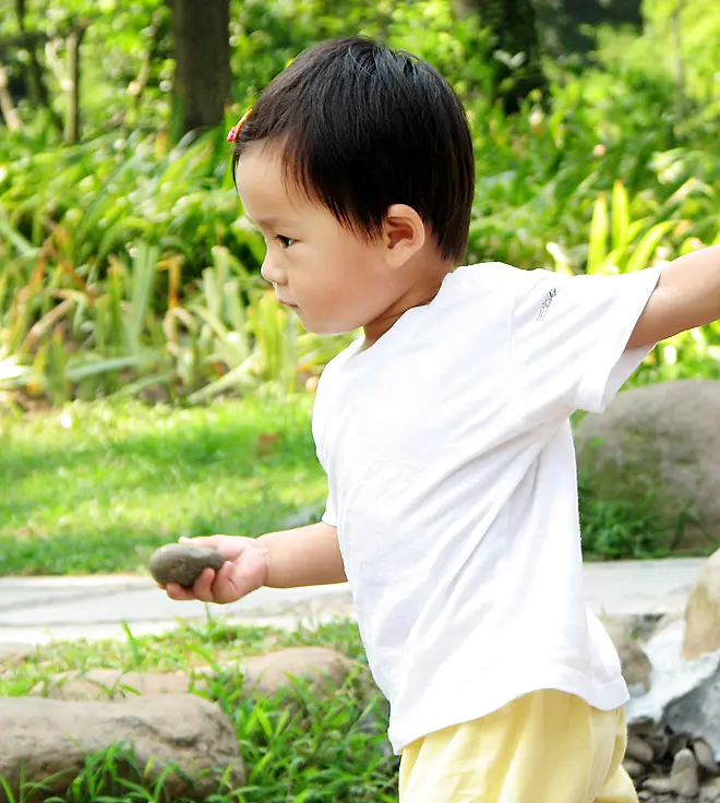 ������Ӱ�ڹ�԰��ˣ��С����-������