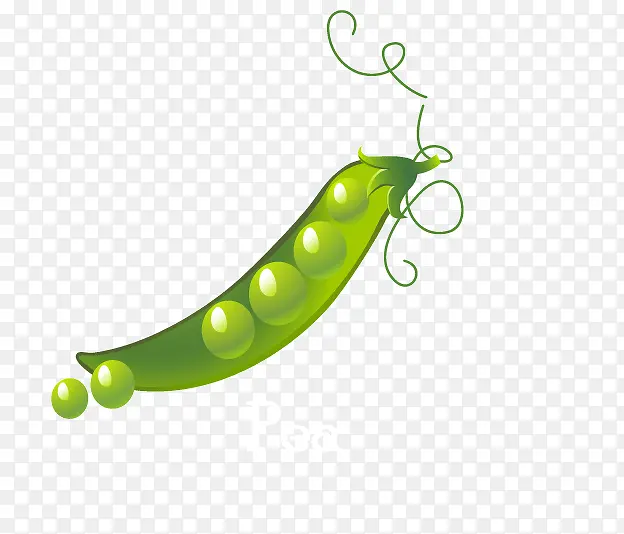 ʸ���ֻ��㶹��-������