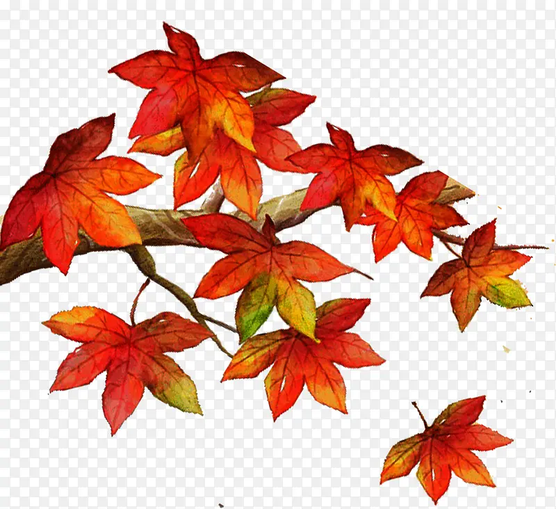 ��ɫ�ֻ濨ͨ��Ҷ-������