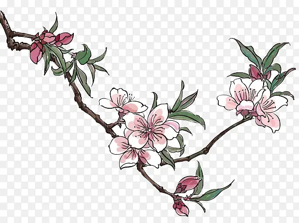 һ֦÷����ͨ�ز�ͼƬ-������