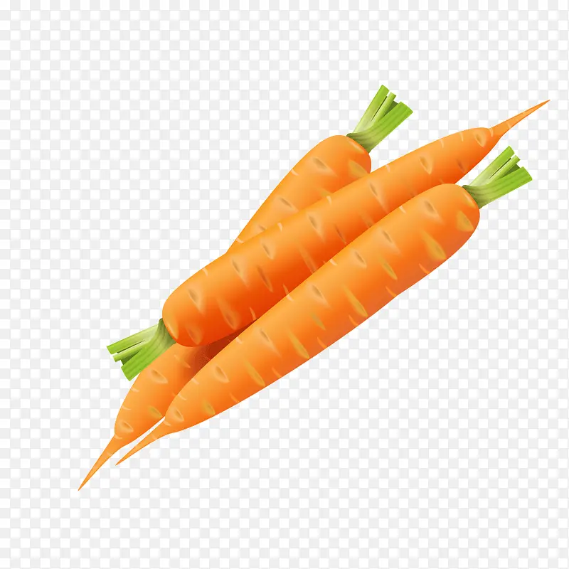 ��ɫʳ���߲˺��ܲ�-������