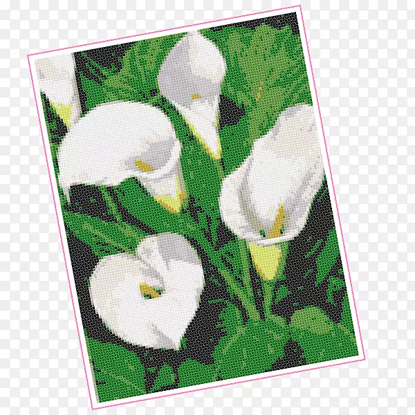 ����ֲ�ﻨ�꿪��ֲ�ﻭ��.�뷨-������