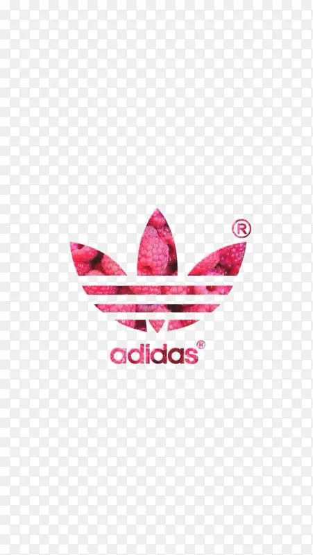 ��Ҷ��ͼ��-������