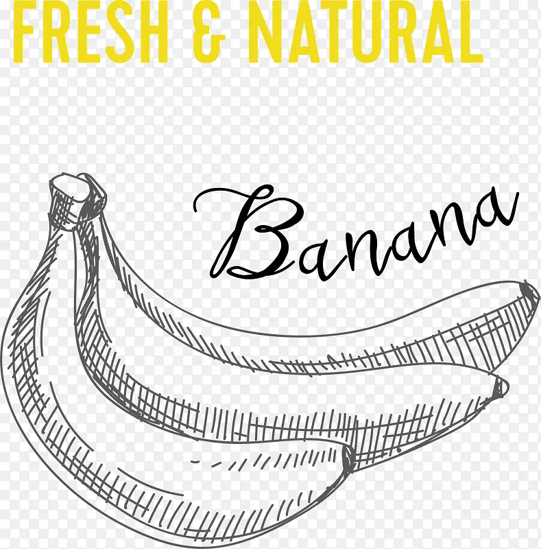 �����㽶pngʸ���ز�-������