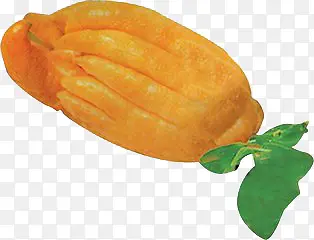 ���ֹ�-������