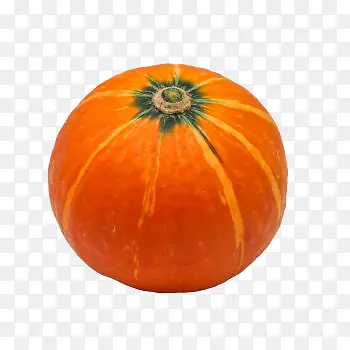 �л���Ƥ�Ϲ�-������