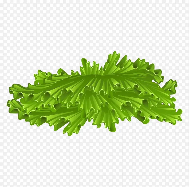 ��ɫ��ͨ�����ز�-������