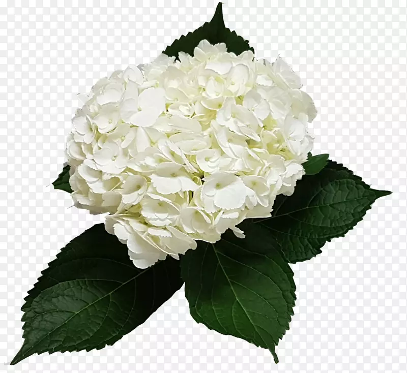 �����л��������-����-������