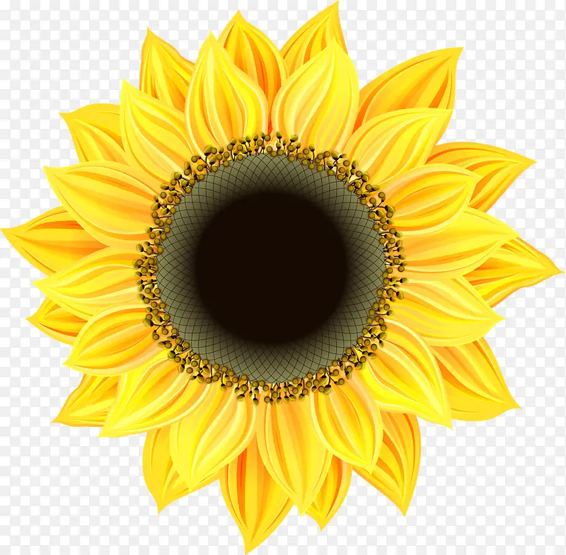 һ�����տ�-������