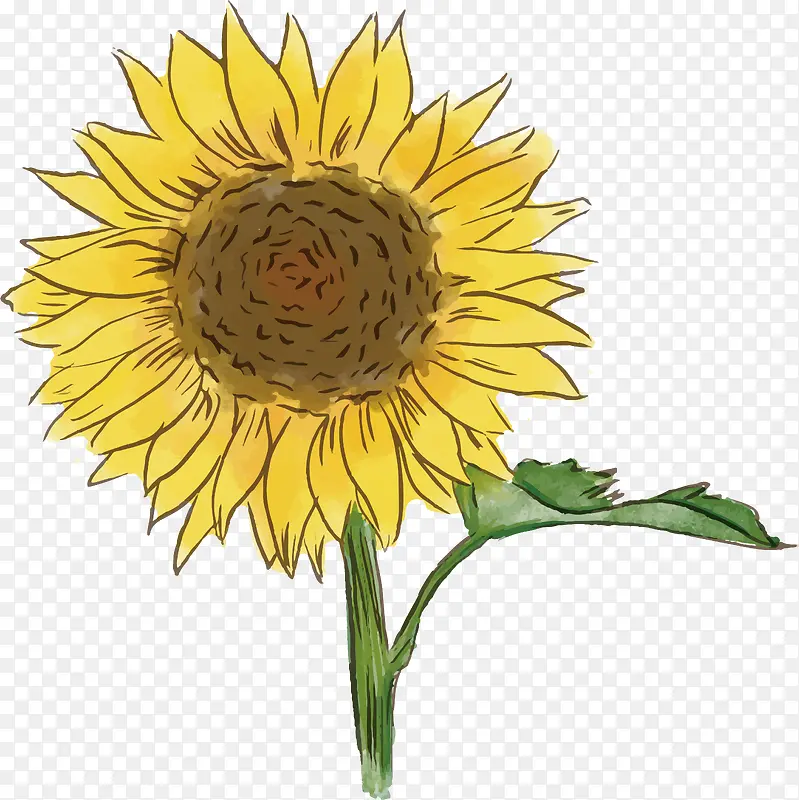 ˮ�����տ�����廭-������