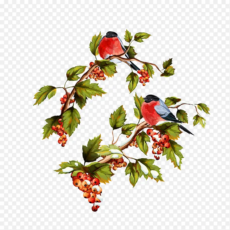 ��ͨ������ֲ֦��ʸ��ͼ-������