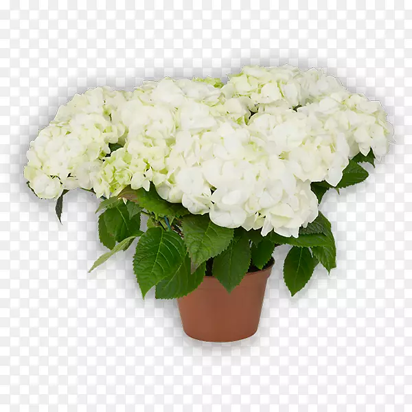 �����л��������ֲ��-����-������