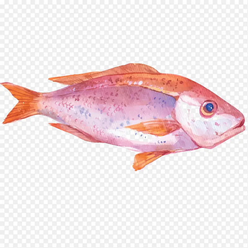 �ֻ�ʻ����ʵĺ���ʳ��-������