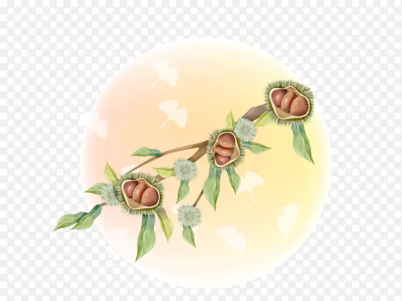 ������ͨʸ���ز�-������