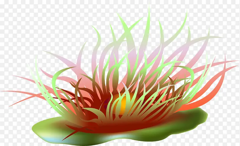 ��ɫ���º���-������