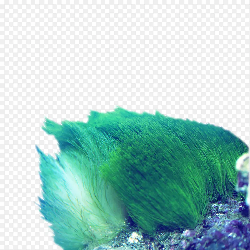 ����װ��-������