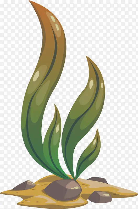 ��ɫ���亣��-������