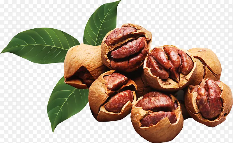 ɽ������Ҷ-������