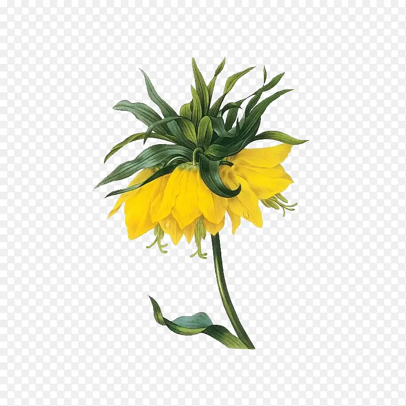 �ֻ�ջ�-������