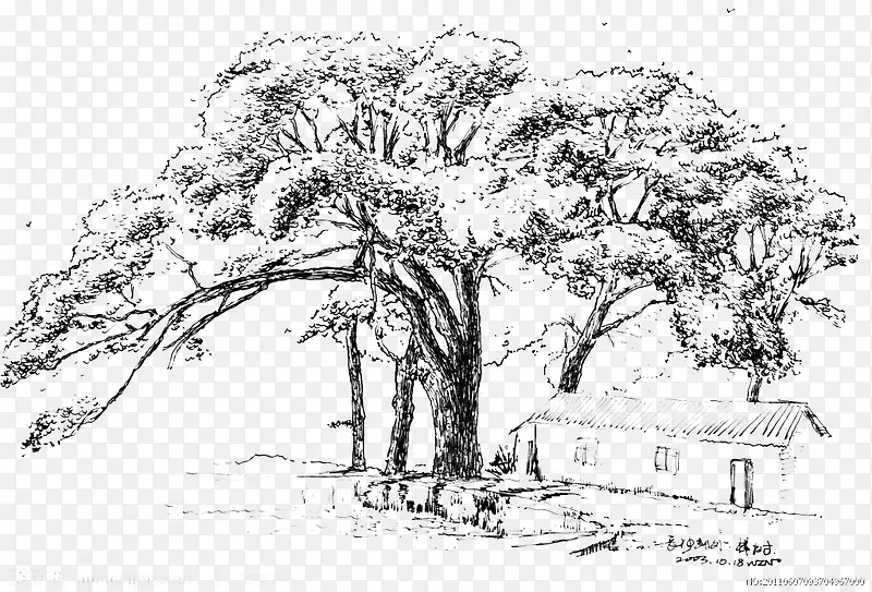 ��-������