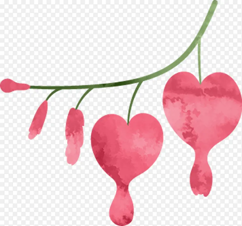 ��ɫˮ��ֲ��-������