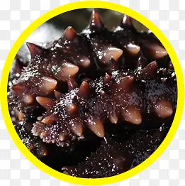 ʳ��-������