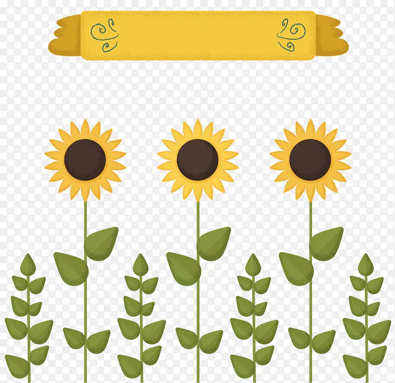 �ɰ������տ�����-������