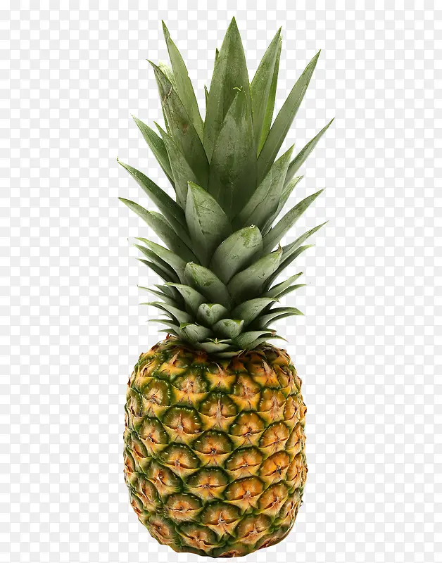 ˮ�����ܲ�Ʒʵ���ز�-������