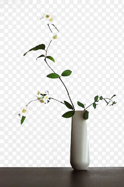 ��ƿ-������