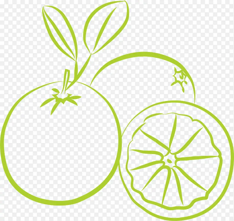 ��ɫ����-������