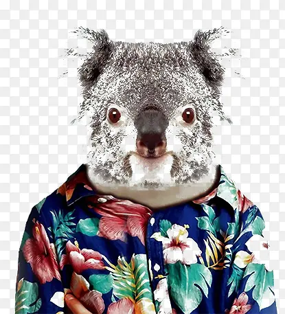 �����·�����-������