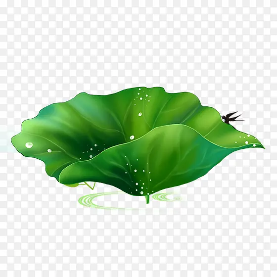 �ɻ���ʽ�����廭-������