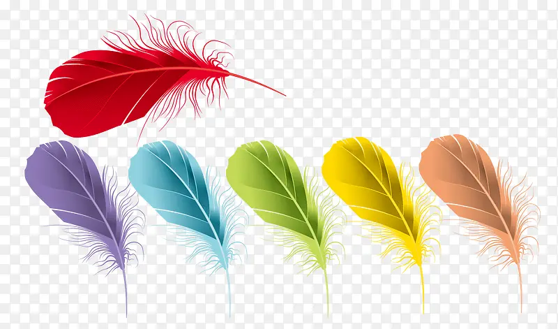 ʸ����ɫ��ë-������