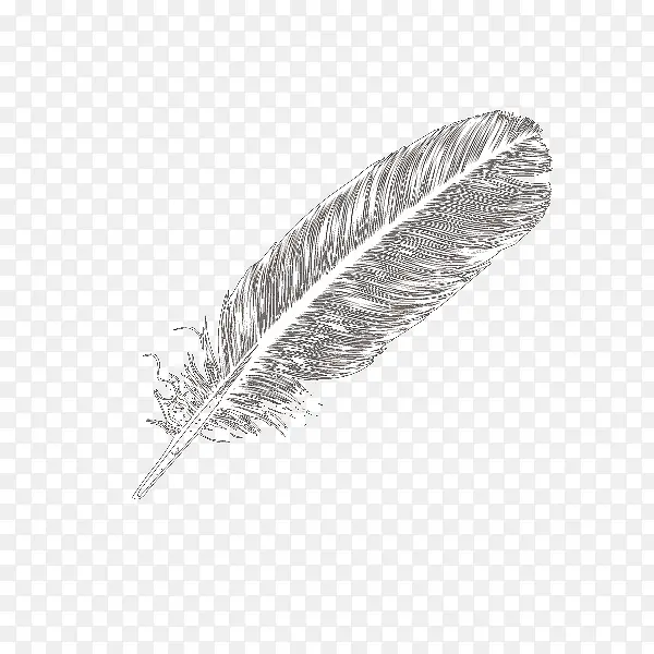 ��ɫ��ë-������