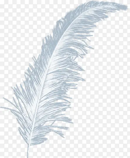 ��ëͼƬ��ɫ��� ��ͨ�ֻ���ë-������