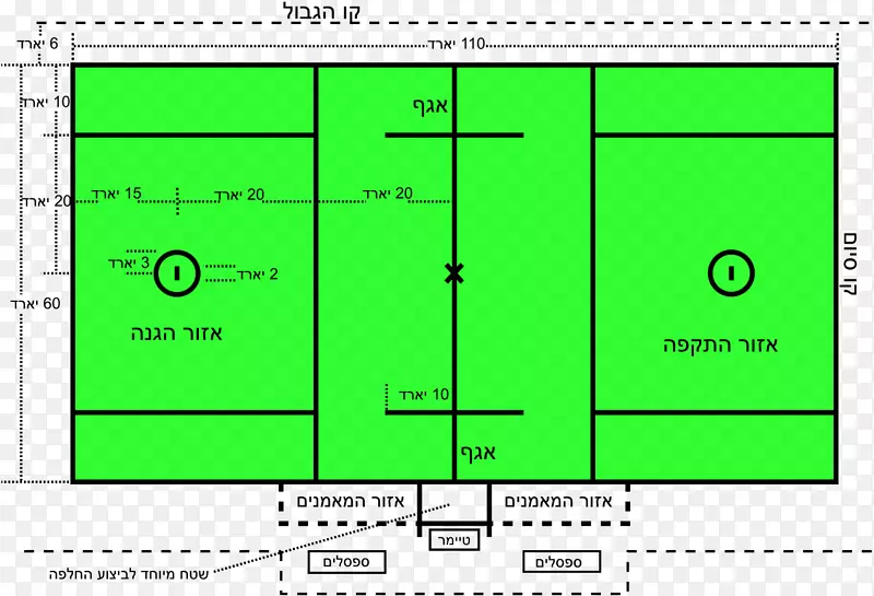 �ﾶ������Ů��������NCAA�����������������ѧ������-������-������