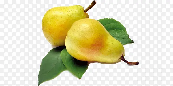 ˮ������ʳƷʳ��-������