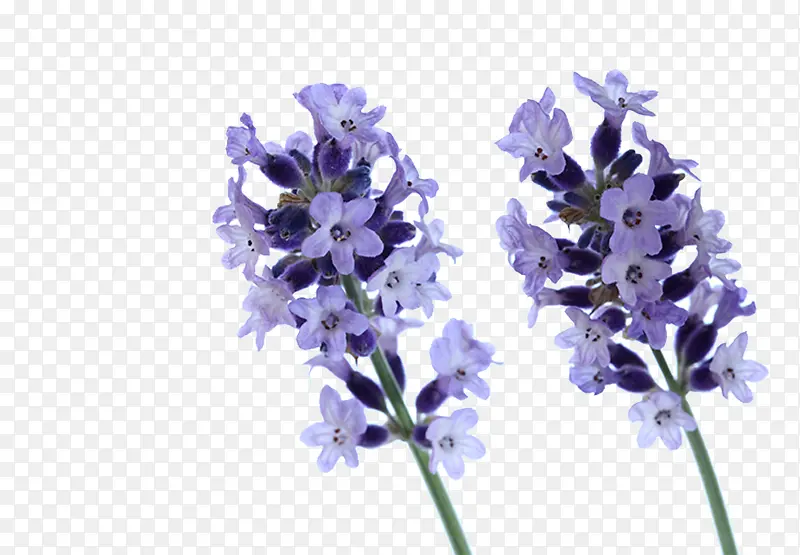 ޹�²���д-������