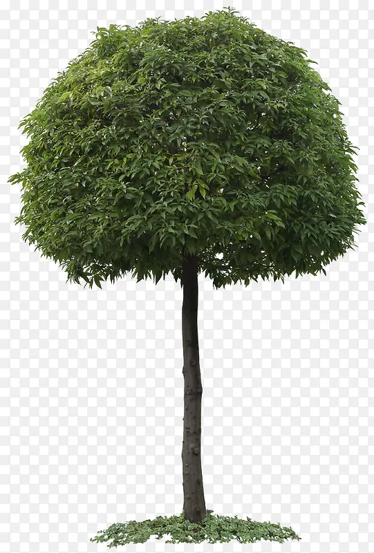 ��-������