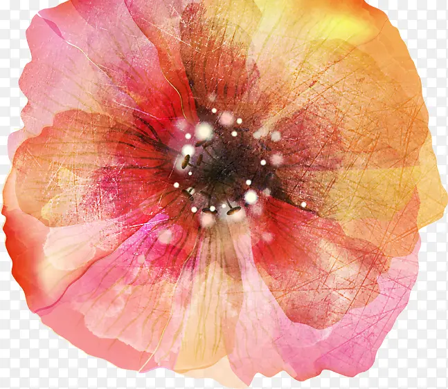 �ֻ�ۻ�ɫˮ�ʻ���-������