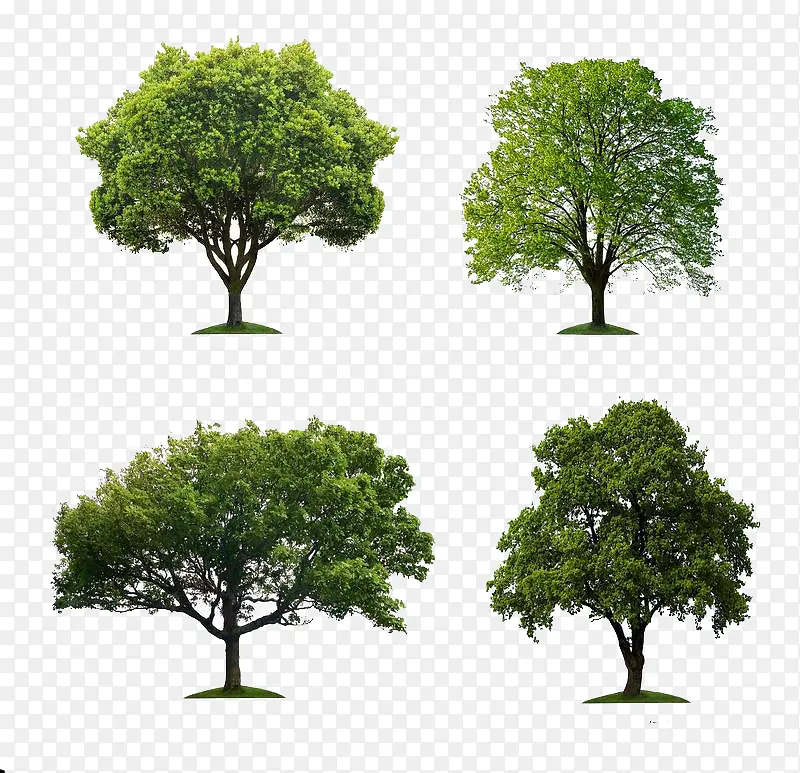 �Ŀô���װ��ͼ-������