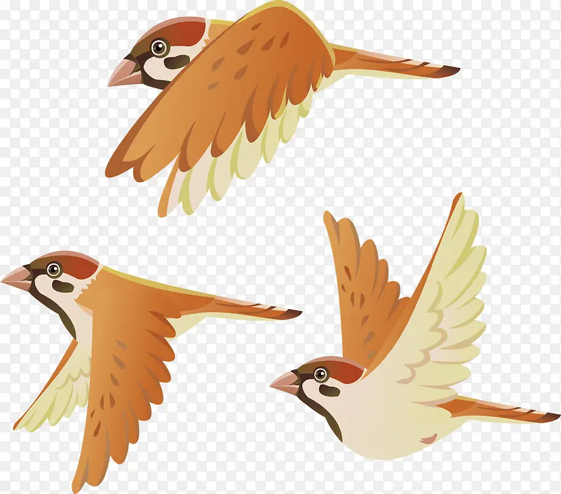 ���е�С��ʸ��ͼ-������