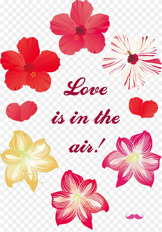 ������ɫ�Ļ�-������