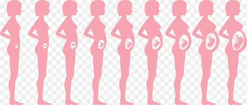 ���ӵĶ���-������