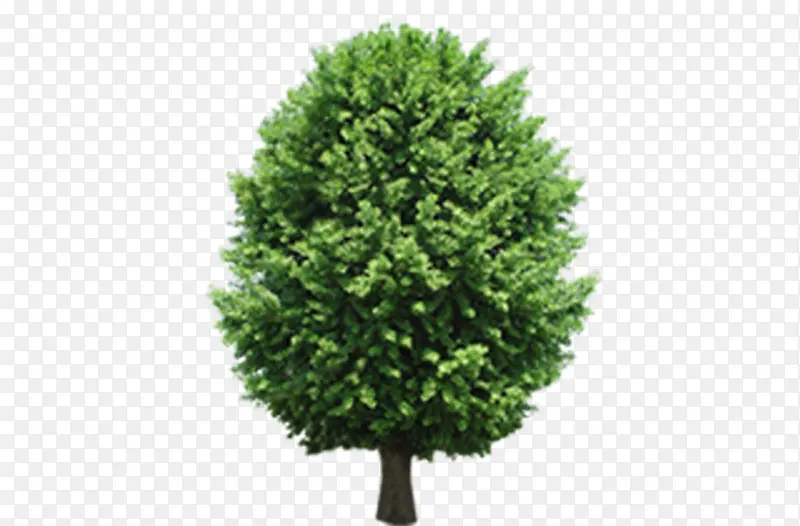 �羰��-������