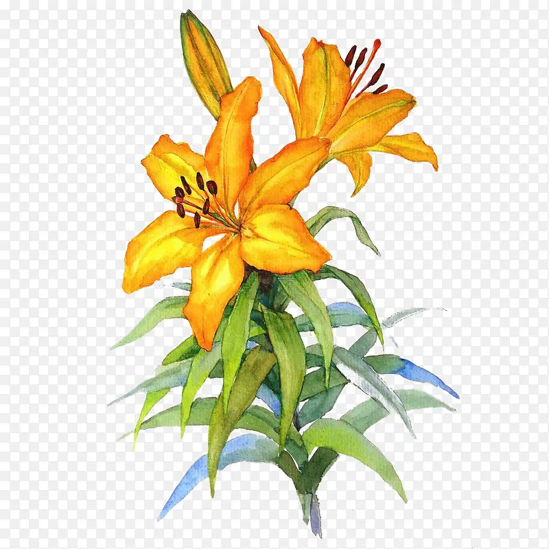 ˮ�ʻưٺ�-������